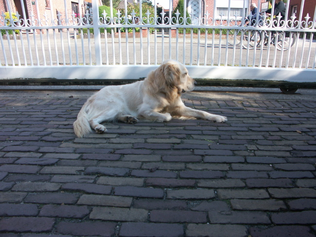 Eventjes kijken wat er in de buurt aan de hand is...