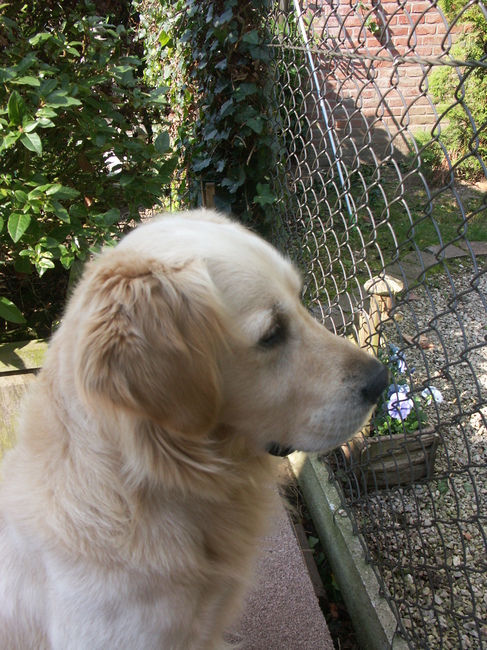 Eh toe Pluche, kom hier zitten bij mij !!