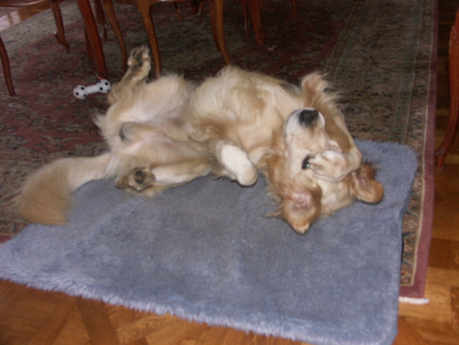 Lekker rollen en gelijk eventjes oogje uitkuisen en daar staat ze weer met die camera...pfff nooit rust