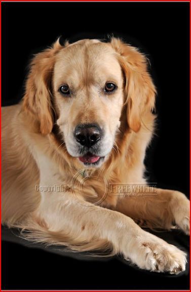 Tibo op fotosessie ;-))