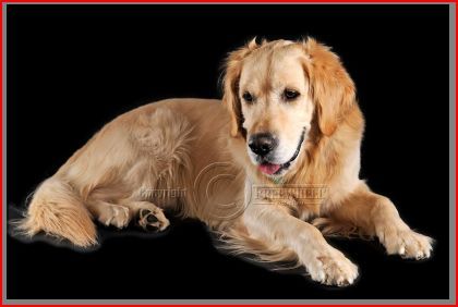 Gaat dat hier nog lang duren...