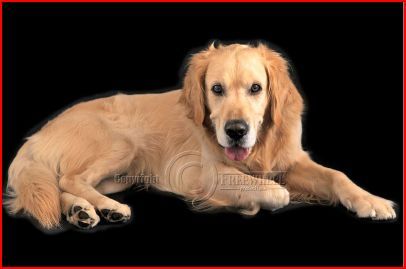 tis hier best warm....