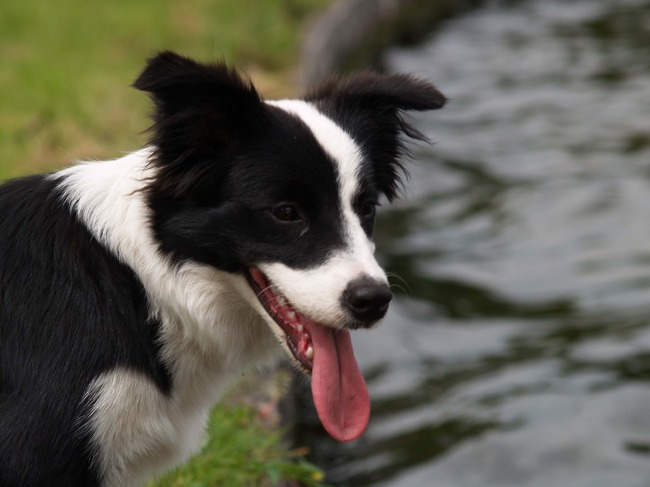 Lekker aan de waterkant staan