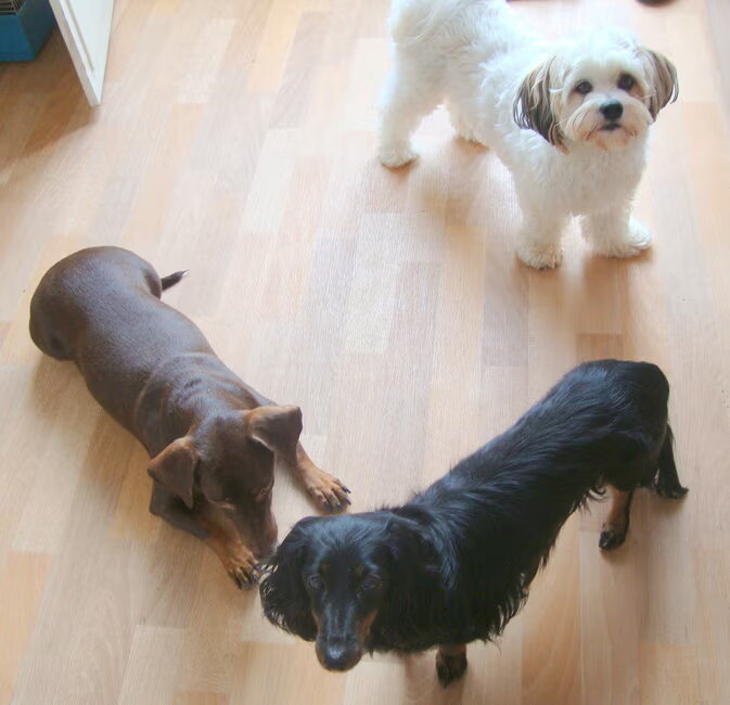Camila, Sammy en Abra...