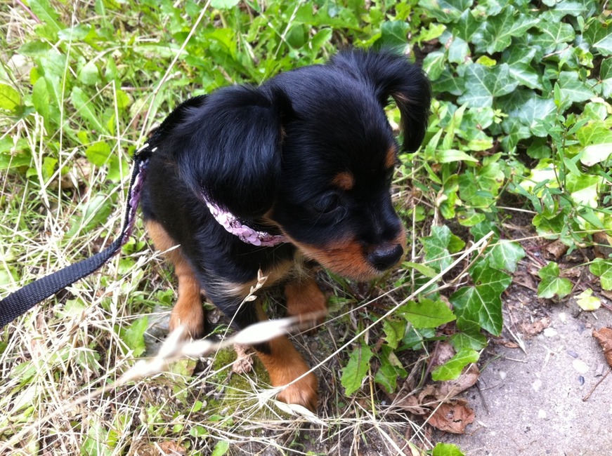 De tuin is nog een beetje eng hoor ...