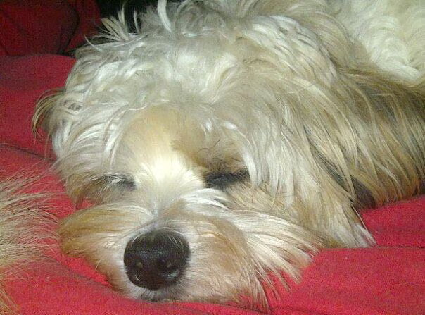 Lieve Manneman..