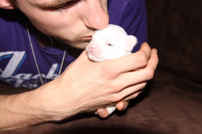 onze kleine Levi, hier geboren in april 2011