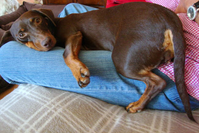 Camila standje relaxt!