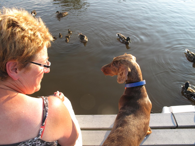 Zeg vrouwtje, lus jij ook wel zo'n lekker eendje ?