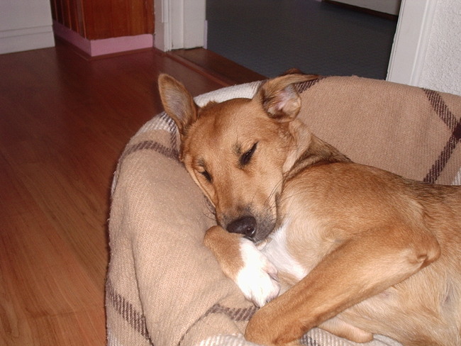 Stttttt,ik slaap.(8 maanden)