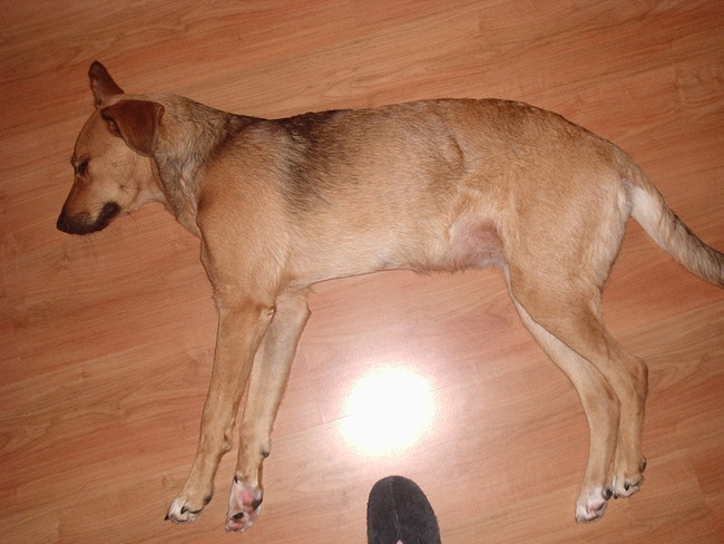 Slapend op de zon(9maanden)