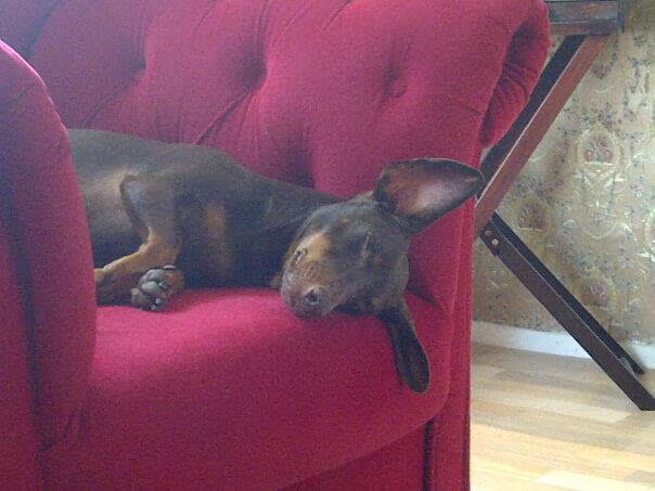 Zzzzzz