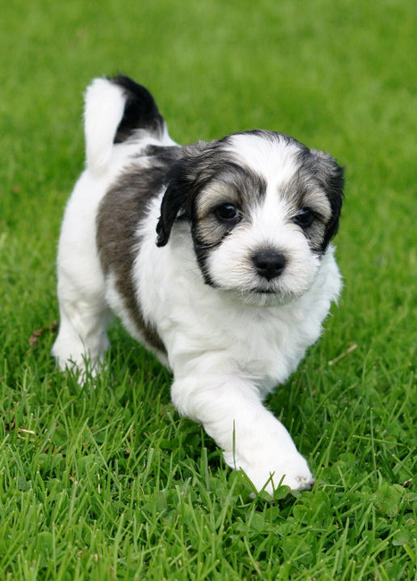 Tibo voor het eerst naar buiten met zijn familie.