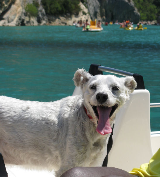 Bas 10 jaar oud. Mee op vakantie naar Frankrijk. Hier op een boot op de Gorges du Verdon. Het lijkt wel of hij 1 grote glimlag heeft en z'n tong uitsteekt, waarmee hij wil zeggen...leuk hè. Hij heeft het natuurlijk heel warm, maar genoot enorm van het klauteren en het water. Een super vrolijke foto van mijn kanjer.