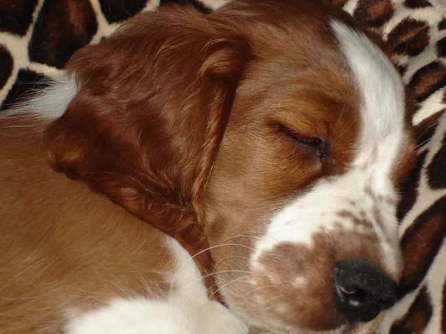 Wát een heerlijk smoeltje...