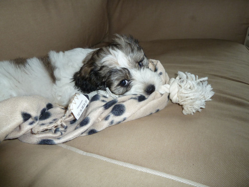 Lekker spelen met mijn nieuwe flos 7-8-2012