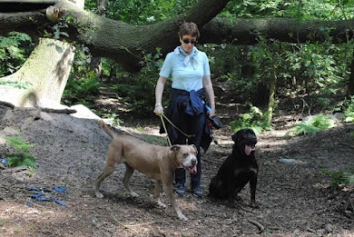 Tyson en zijn lieve maatje Axa