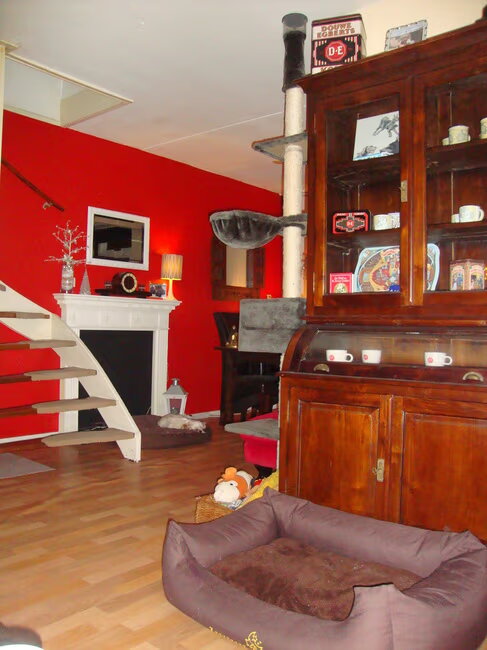 Wolfje zijn krabpaal staat alvast