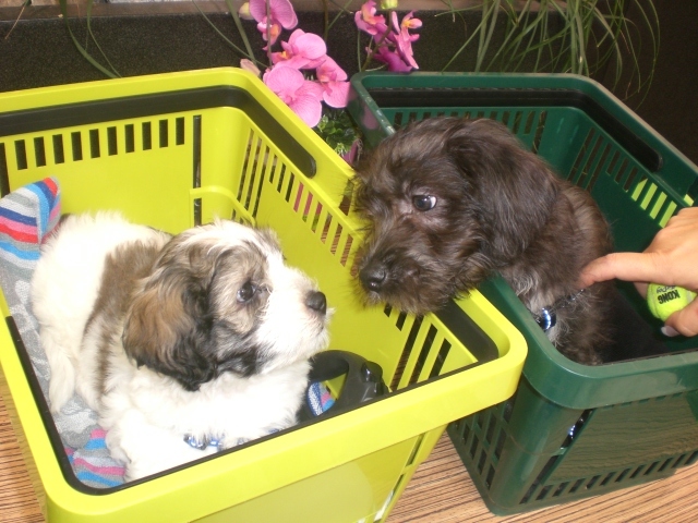 Wij gaan het samen maken de komende jaren.