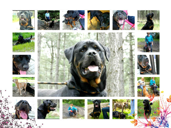 Tyson is geplaatst!!