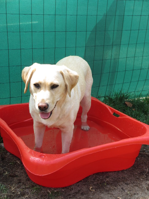 in het zwembadje 
2 jaar