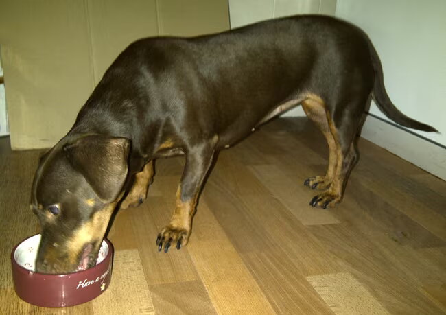 Camila Slaappapje (cottage cheese, rauwe notenmix, fruitmix en honing)