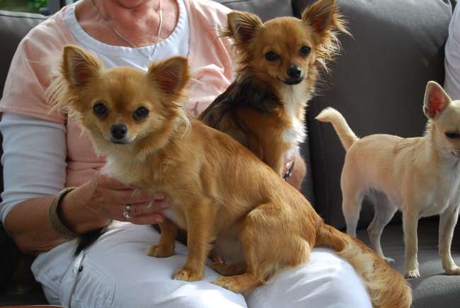 Kaya achter samen met mama Enya voor.