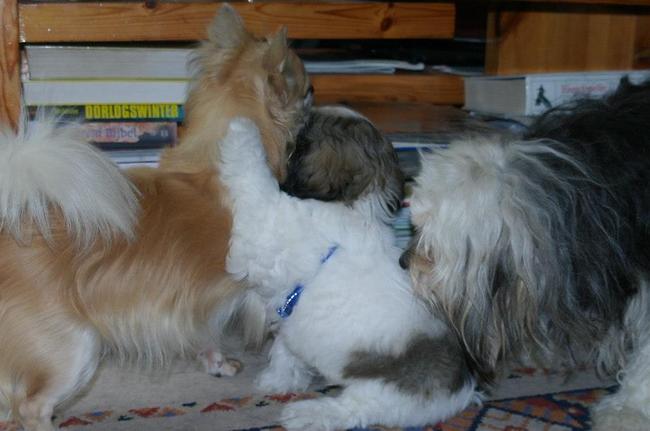 Thats where friends are for. 