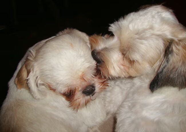 Liefde!