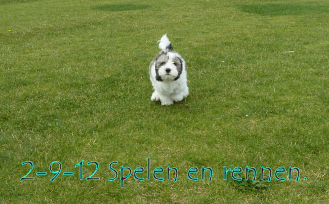 Na het zwemmen play time......