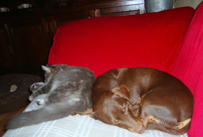 Liefde is... Samen slapen!