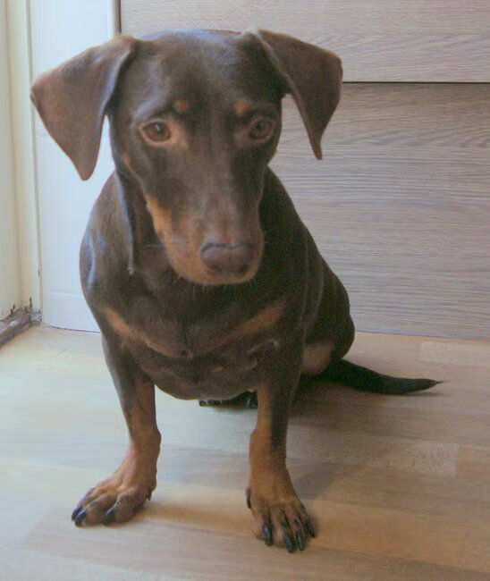 Prinsesje