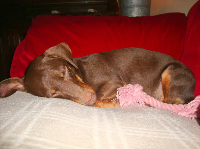 Deep Sleep