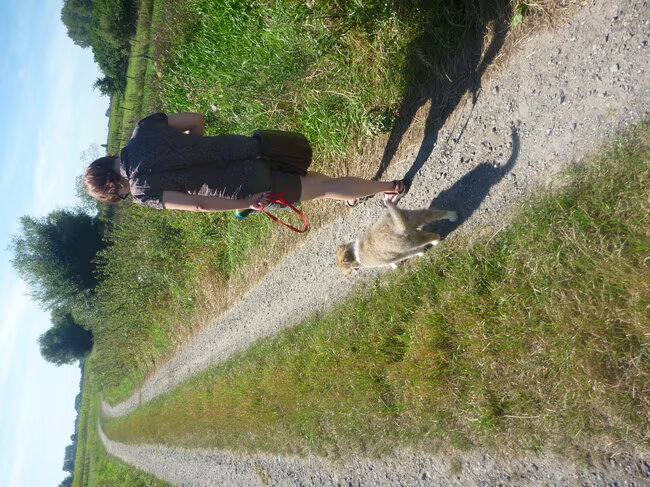 Foto van Lien, Luca† en Wifi  /wi:fi:/