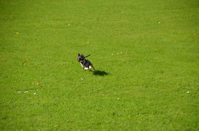 Bart door de bocht en hard dat hij ging!!