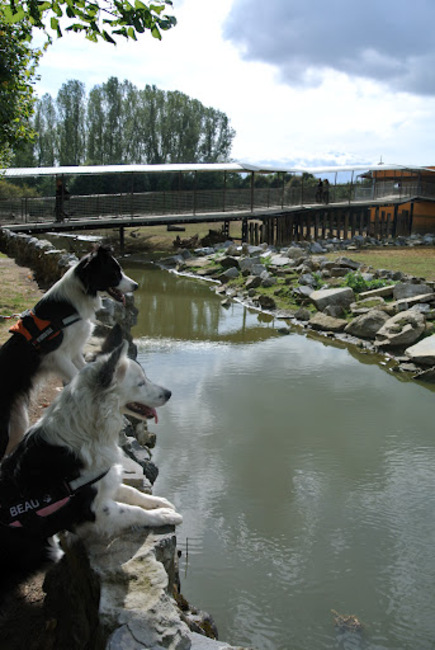 Met Gizmo vreemde beestjes kijken @Olmense zoo