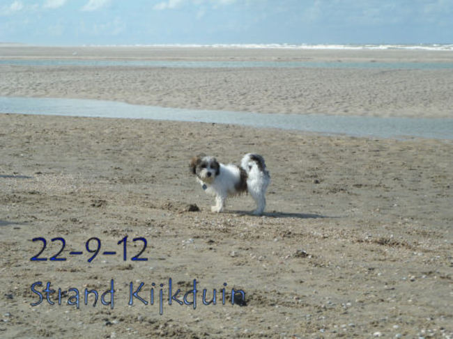 En dan...heerlijk uitwaaien op het strand