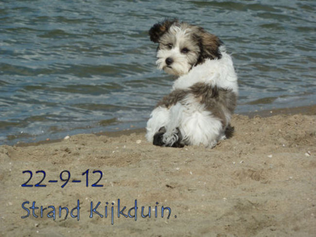 Dit stukje zee ziet er leuk uit, maar zal ik...of zal ik niet....