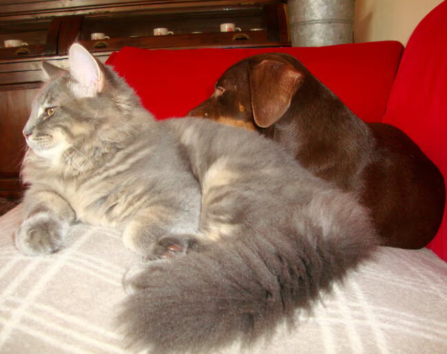 Forever Friends!