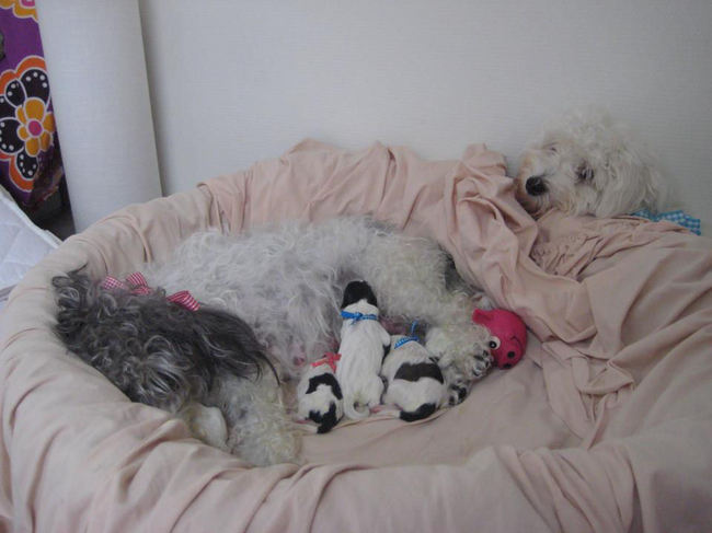 Tibo net twee dagen oud, hier samen met zijn familie, zo lief.