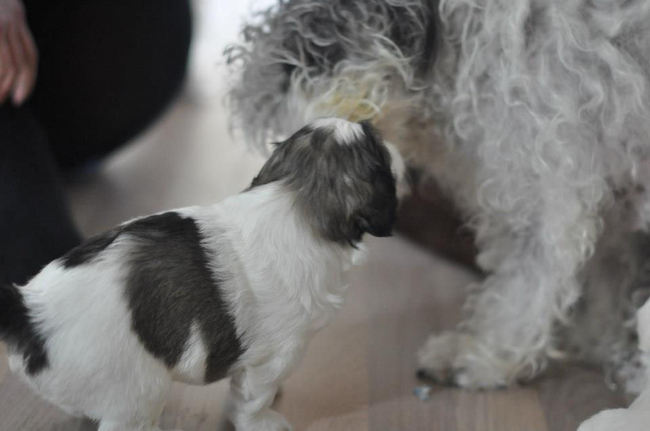 Zo'n speciale foto, moeder en zoon.