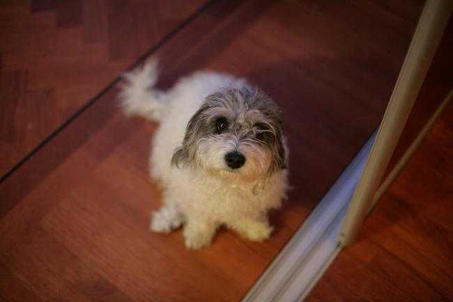 Tibo zijn mama Pani, 5 jaar oud.