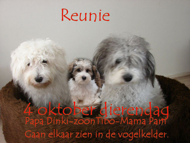Als dit geen mooie dierendag wordt? Een reünie tussen kind en ouder. Ik kijk er naar uit. :-)