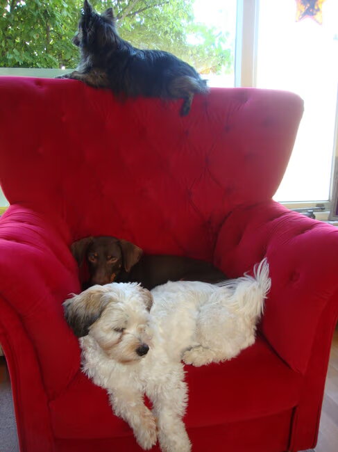Lekker relaxen