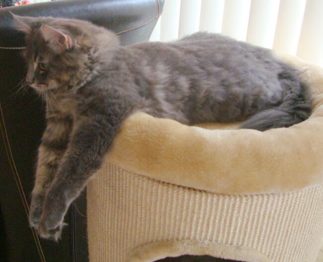 Even relaxen!