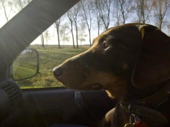 Prinsesje on the Road