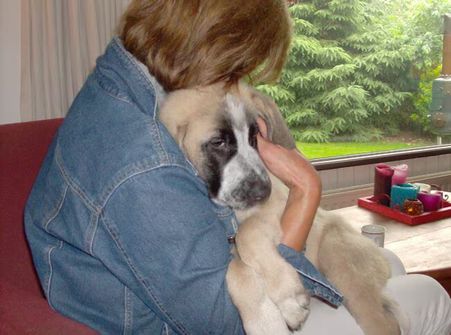 toen onze pup een pupje was, inmiddels 3 jr. een haar naam is nog…
