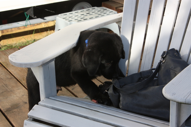 Ik ruik iets lekkers!