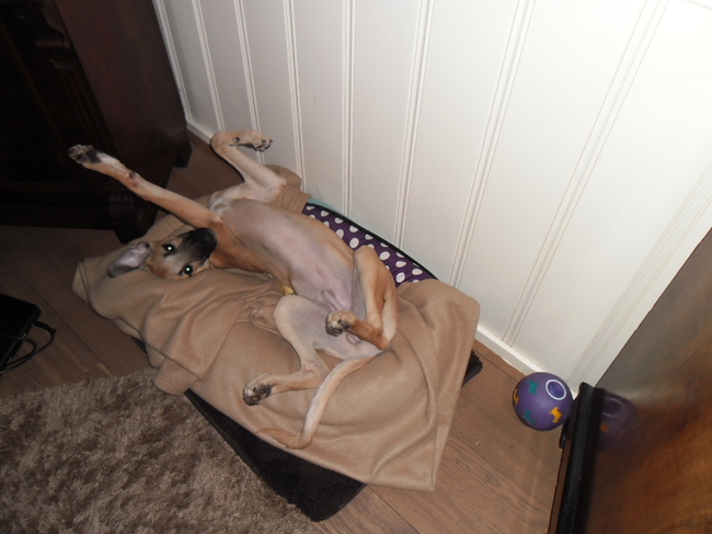 ben zo moe van het hollen en heb nog pyn in myn mond ook 3 tanden kwyt