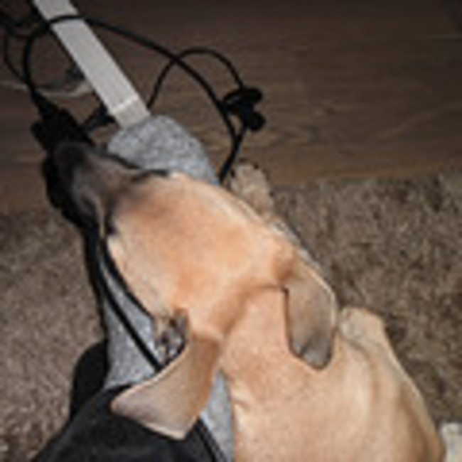 pas goed op vrouwtjes gebroken voet alleen latig kan niet meer zo vaak uit